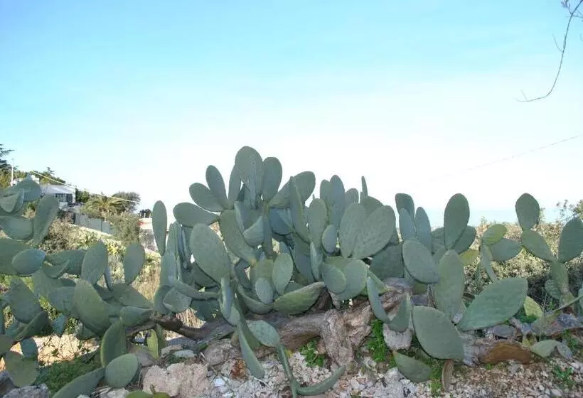 ベッドアンドブレックファースト Le Dimore Del Sarto Polignano A Mare