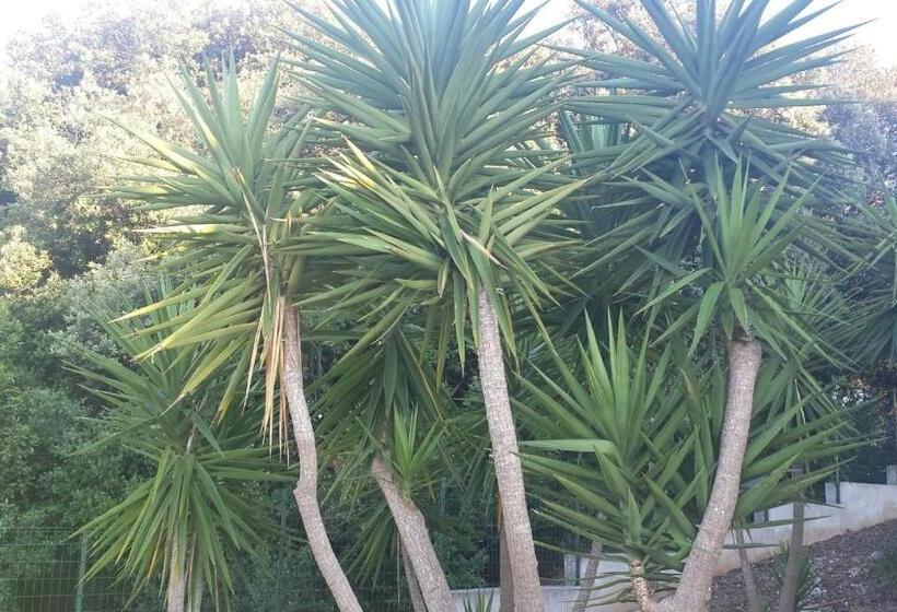 Bed and Breakfast Le Dimore Del Sarto Polignano A Mare