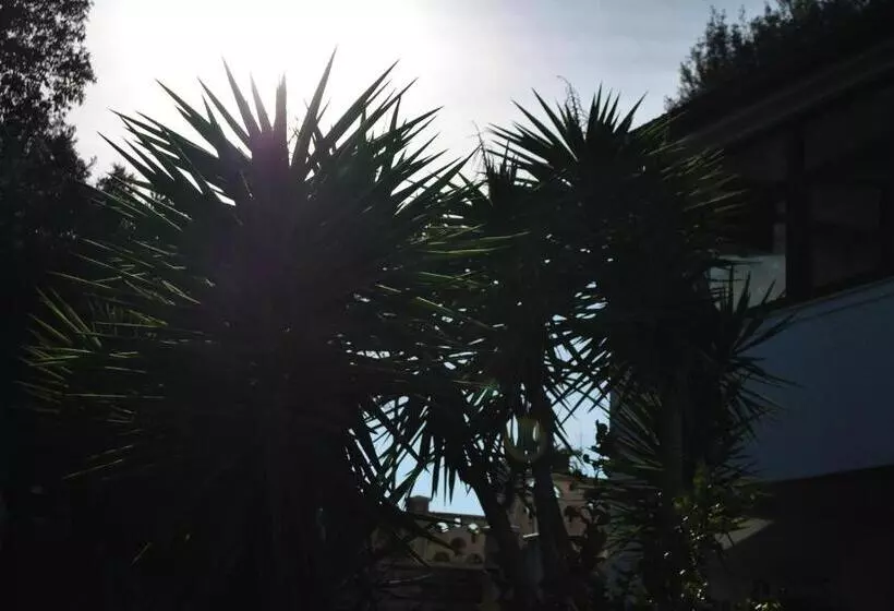 ベッドアンドブレックファースト Le Dimore Del Sarto Polignano A Mare