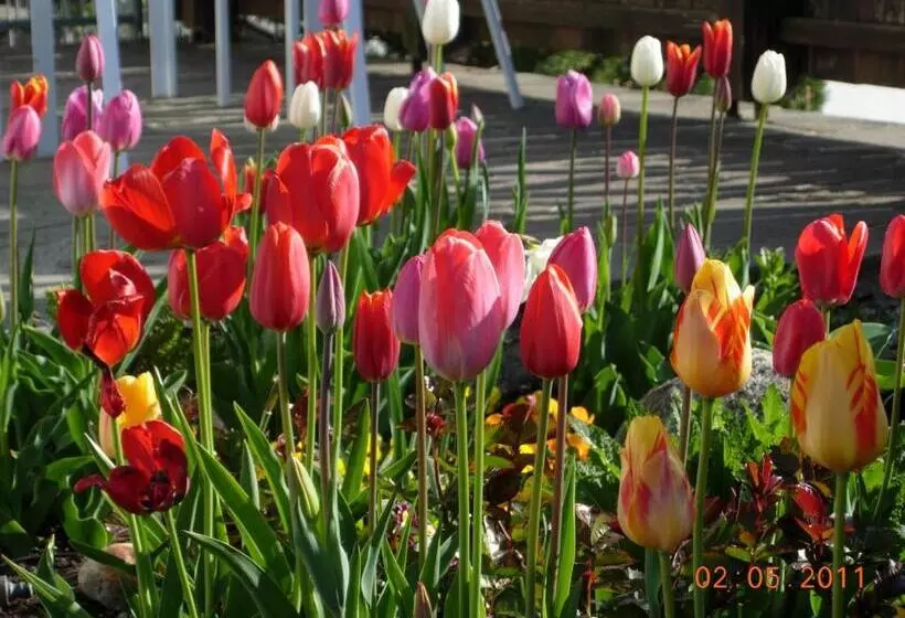 Frühstückspension Alpenrose Bed & Breakfast