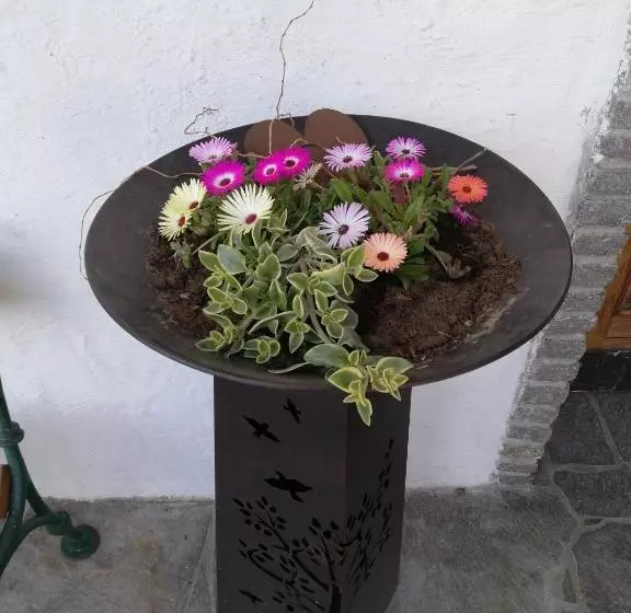 Frühstückspension Alpenrose Bed & Breakfast