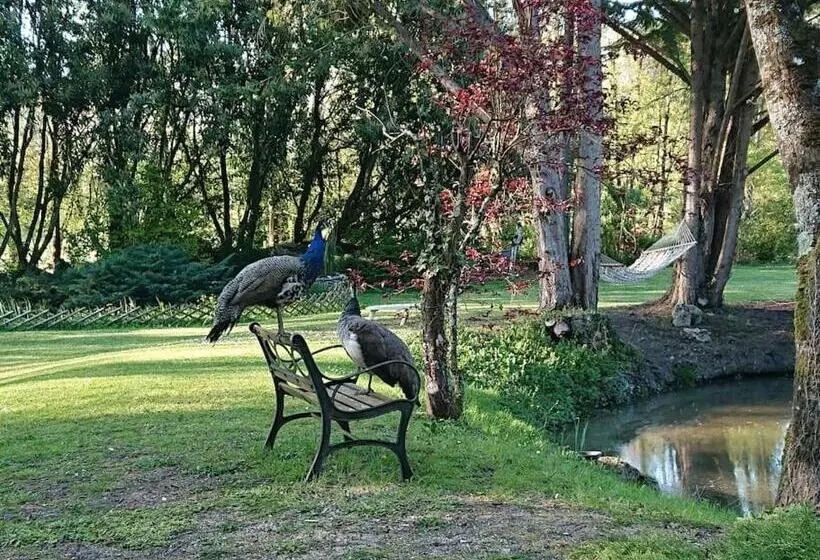 Moulin De La Follaine Gîte Le Logis Du Meunier