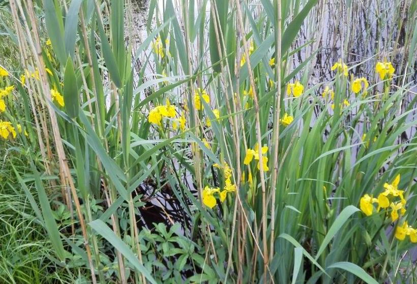 پانسیون Brīvdienu Māja Polīši