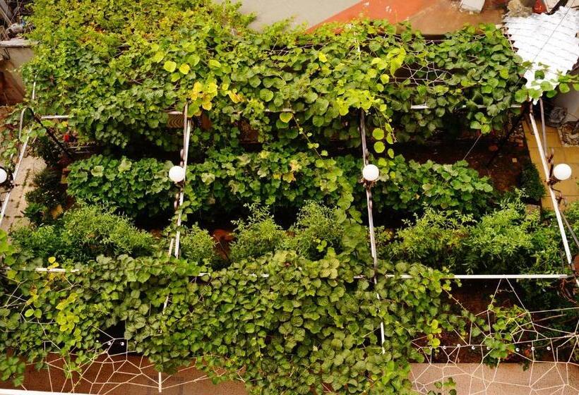 بنسيون Guest House Dara