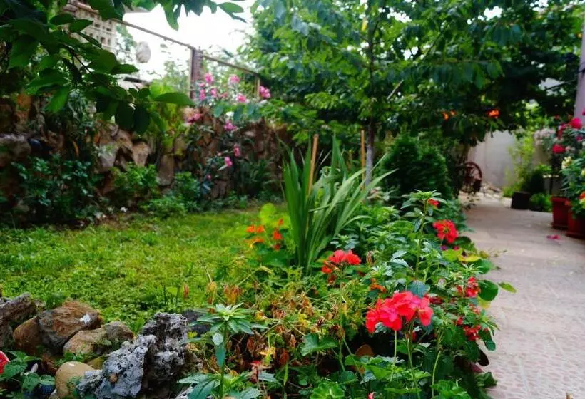 Majatalo Guest House Dara