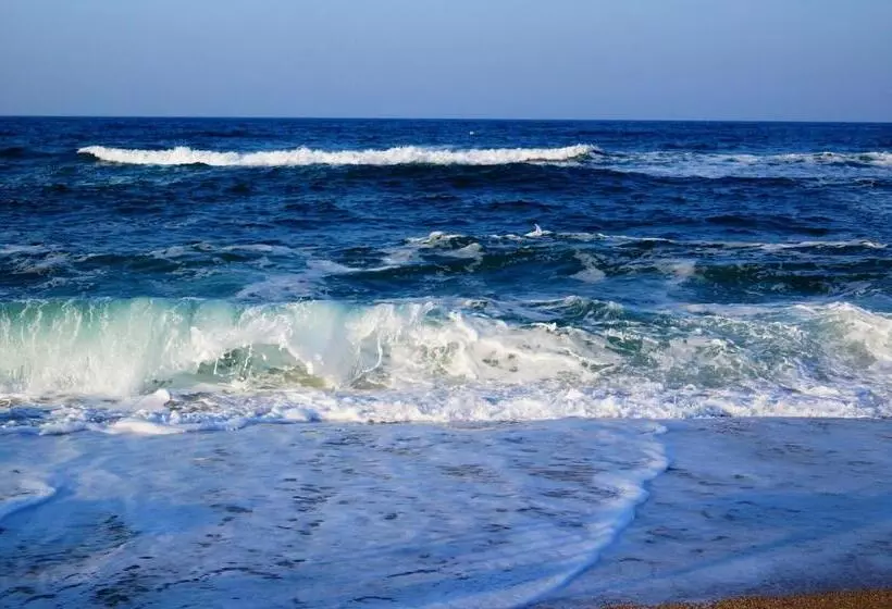 Majatalo Guest House Dara