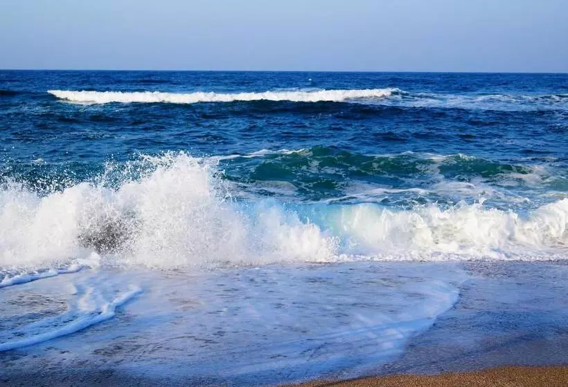 Majatalo Guest House Dara