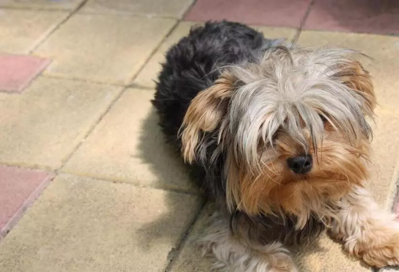 Majatalo Guest House Dara