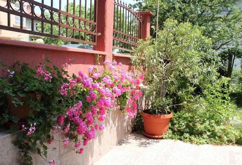 بنسيون Guest House Dara