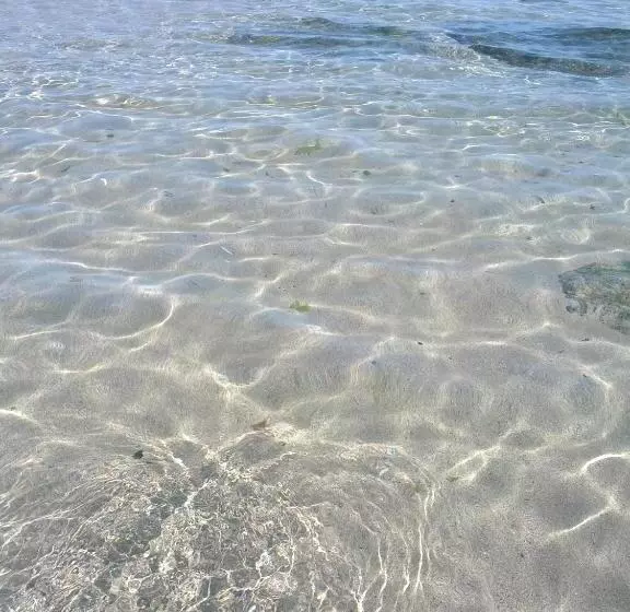 Majatalo Guest House Dara