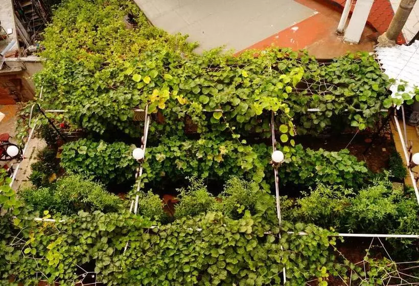 Majatalo Guest House Dara