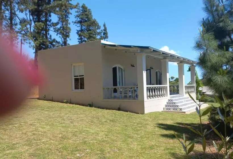 ペンション Morton Manor