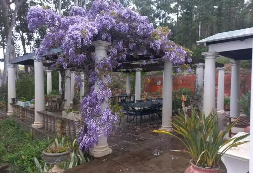 ペンション Morton Manor