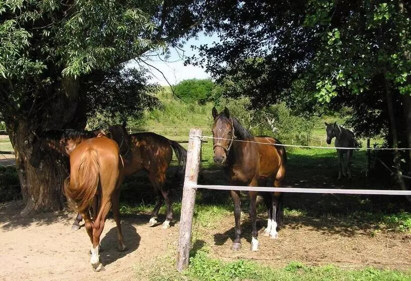 ペンション Penzion Padrtův Mlýn