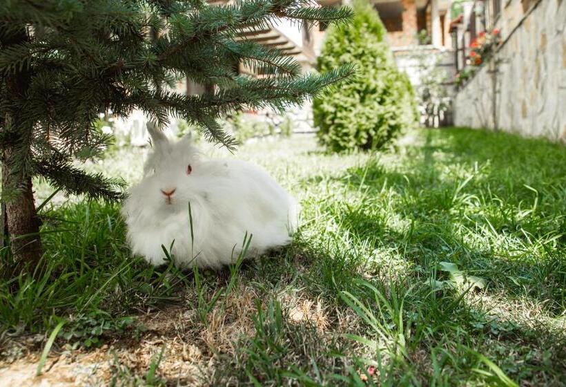 ペンション Topalovi Guest House