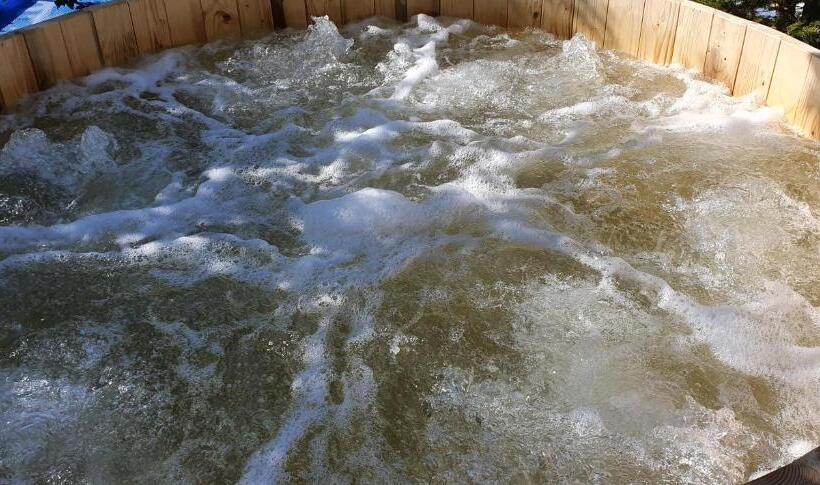 بنسيون Vila Alunis