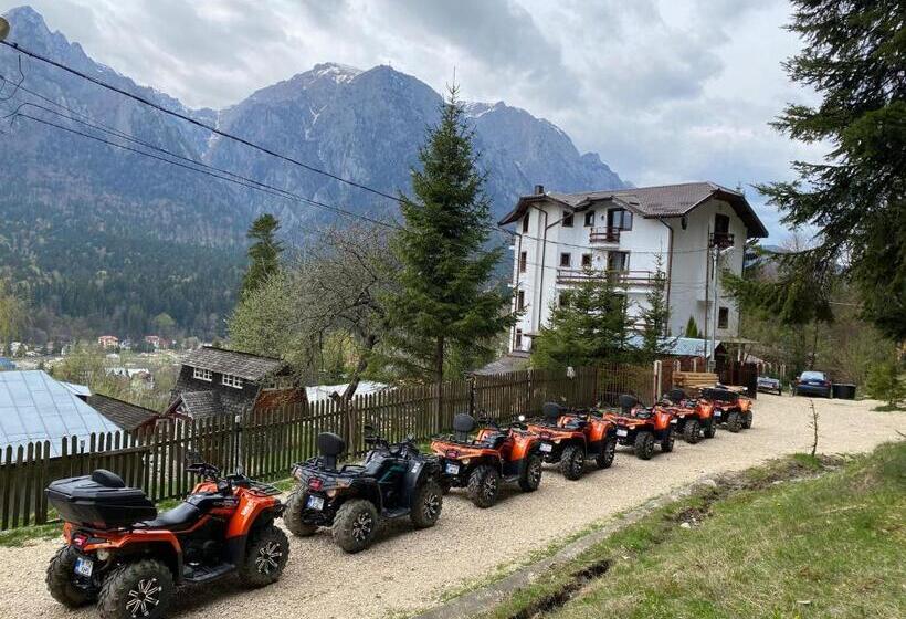 بنسيون Vila Alunis