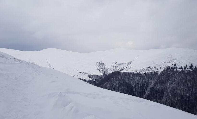 بنسيون Vila Alunis