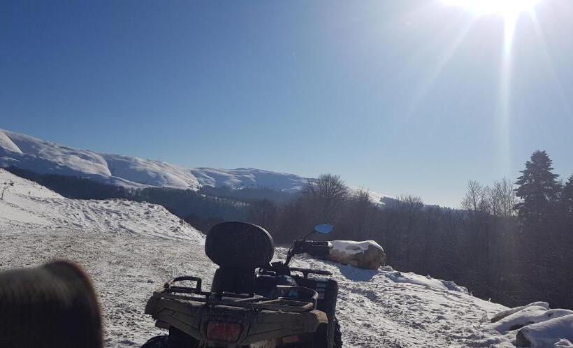 بنسيون Vila Alunis