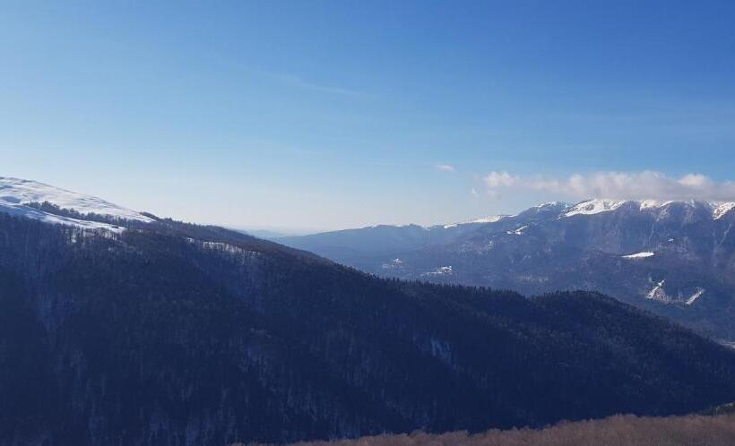 بنسيون Vila Alunis