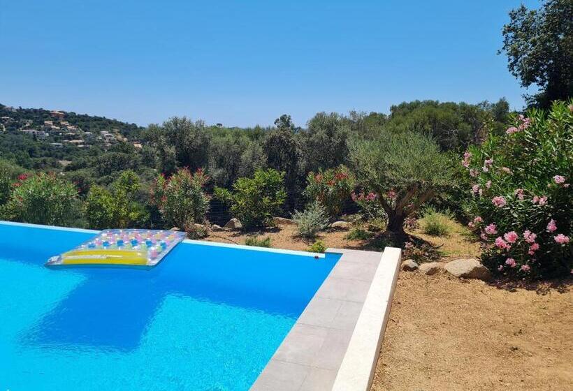 Villa Marcaléone Corse Du Sud