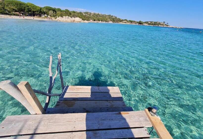 Villa Marcaléone Corse Du Sud