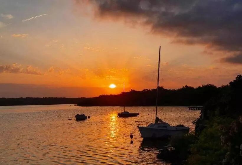 Les Rives Du Lac De Léon