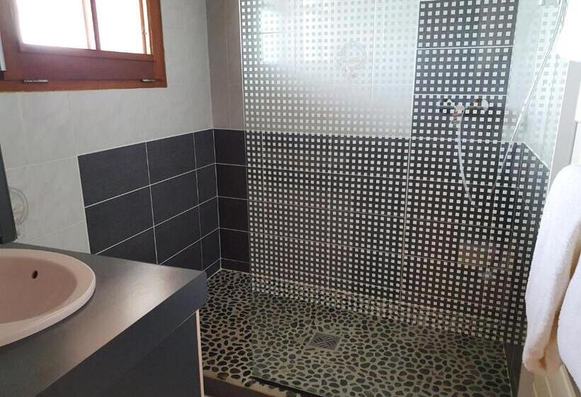 Les Rives Du Lac De Léon