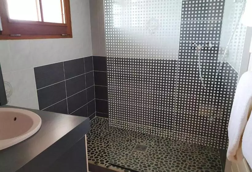 Les Rives Du Lac De Léon