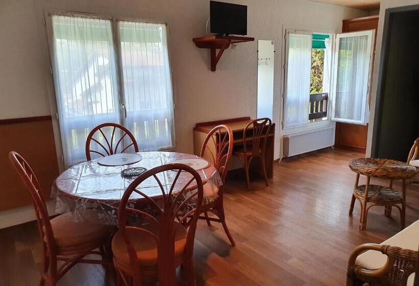 Les Rives Du Lac De Léon