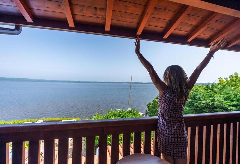 Les Rives Du Lac De Léon