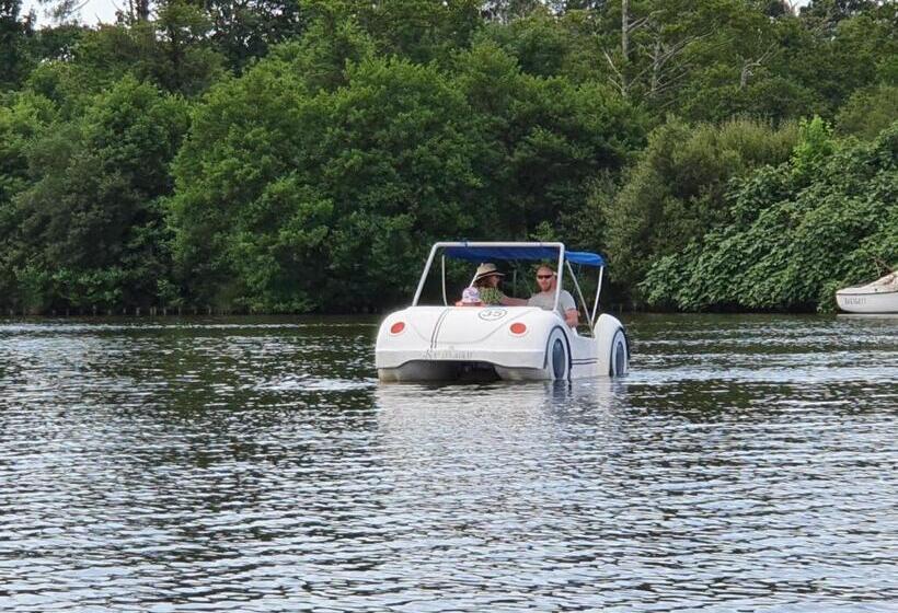 Les Rives Du Lac De Léon