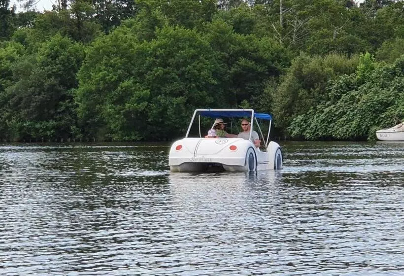 Les Rives Du Lac De Léon