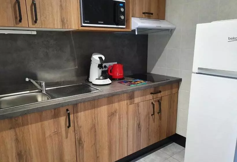 Les Rives Du Lac De Léon