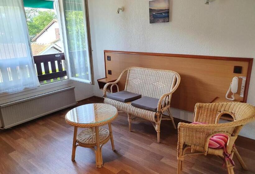 Les Rives Du Lac De Léon