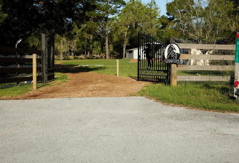 Пансион Room In Bb   Pleasant Days Bb Southwest Cottage