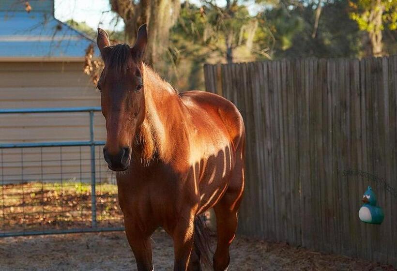 Пансион Room In Bb   Pleasant Days Bb Southwest Cottage