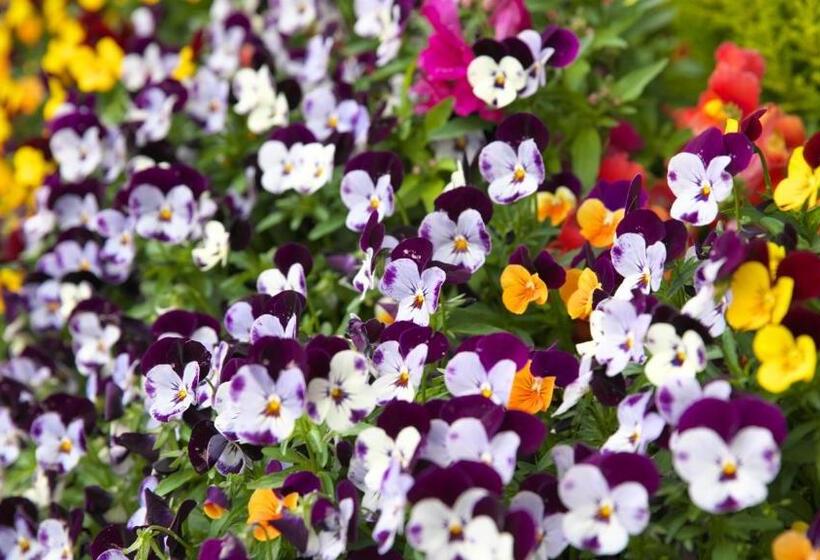 大村ヤスダオーシャンホテル