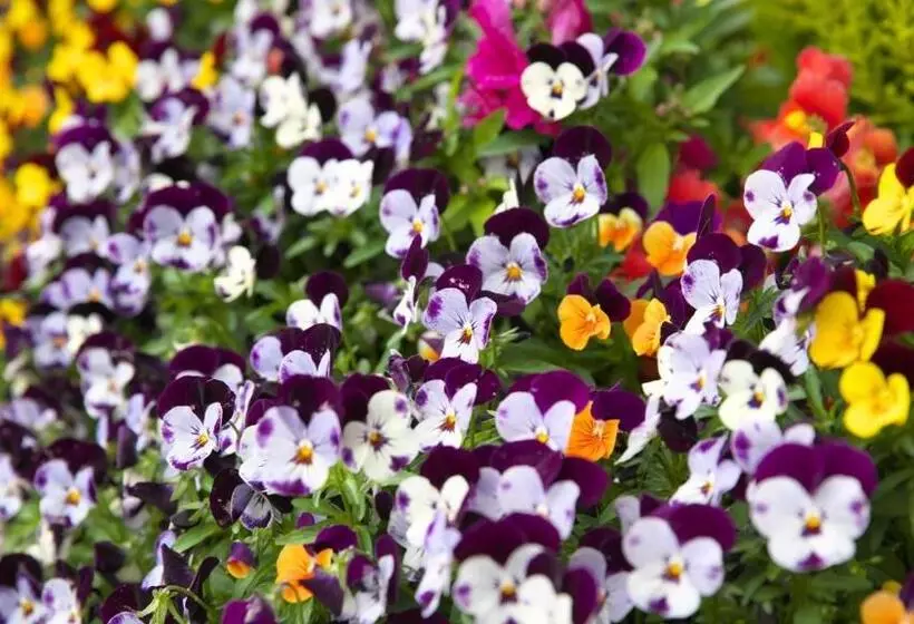 大村ヤスダオーシャンホテル