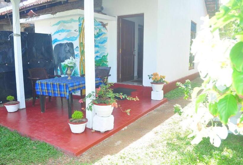 ベッドアンドブレックファースト Bentota Orchid House