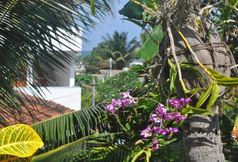 ベッドアンドブレックファースト Bentota Orchid House