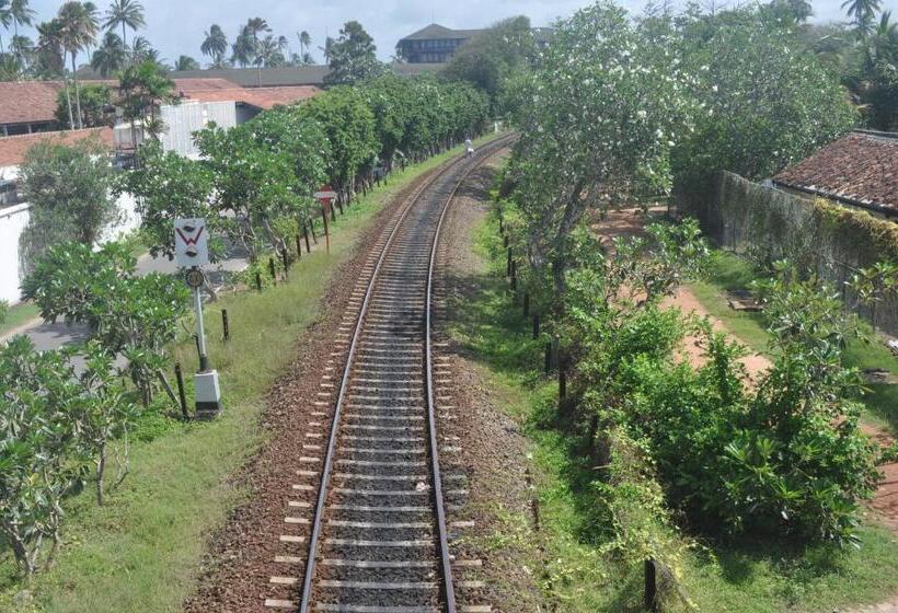 ベッドアンドブレックファースト Bentota Orchid House