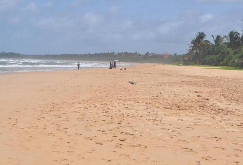 ベッドアンドブレックファースト Bentota Orchid House