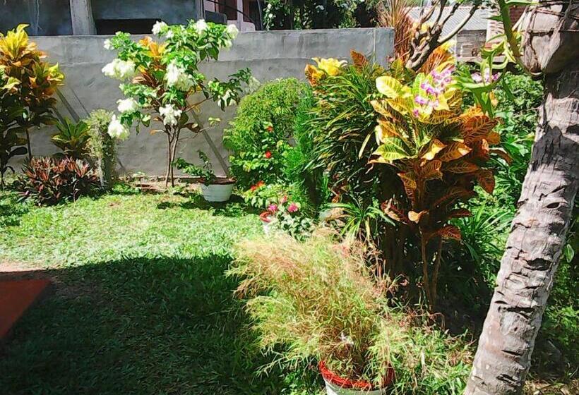 ベッドアンドブレックファースト Bentota Orchid House