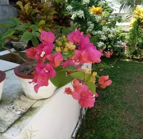 ベッドアンドブレックファースト Bentota Orchid House