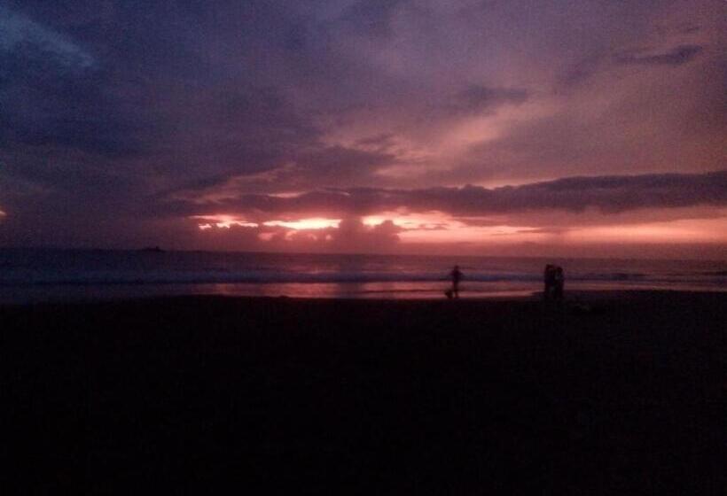 ベッドアンドブレックファースト Bentota Orchid House