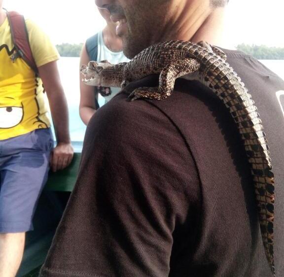 ベッドアンドブレックファースト Bentota Orchid House