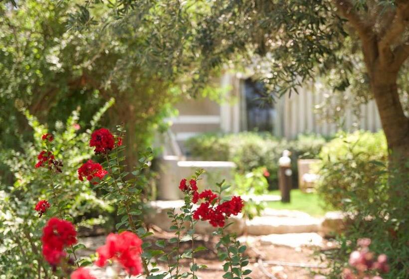 Hanahala Beramot   Boutique Suites