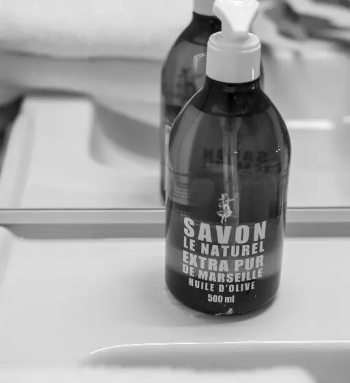 ペンション Les Chambres Du Montréal Et L Hôtel Particulier