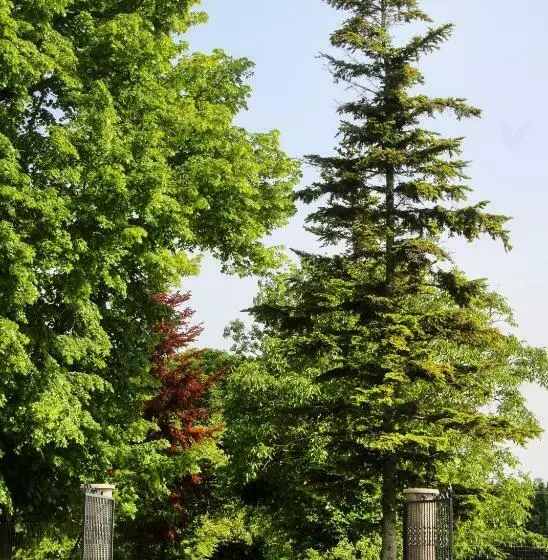 Domaine Des Marronniers